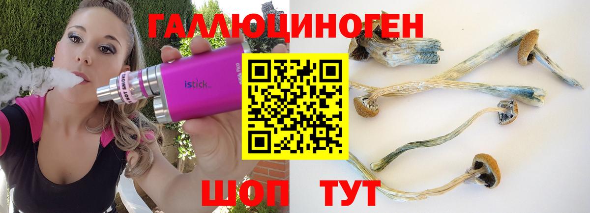 Кимовск  Галлюциногенные грибы Psilocybe  Вход с VPN  Псилоцибиновые грибы MAGIC MUSHROOMS 